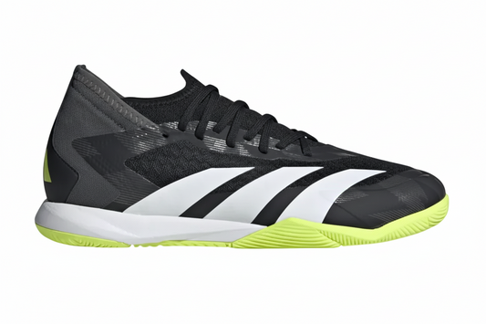 Predator Accuracy Indoor