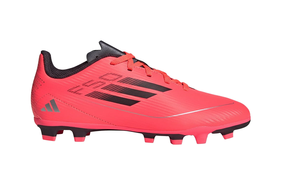 F50 Club — fotografía 1