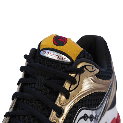 Triumph 4 Mortal Kombat